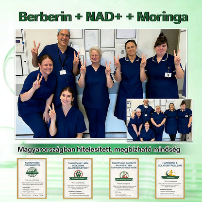 Orvosok által kifejlesztett formula 🛍️ | MREVBSIN® Moringa és berberin × NAD+ – 10 az 1-ben fejlett nano-mikrotűs tapasz (Látható eredmények már 7 nap alatt)